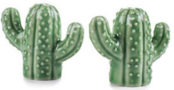 Salz-und Pfefferstreuer Keramik Kaktus grün